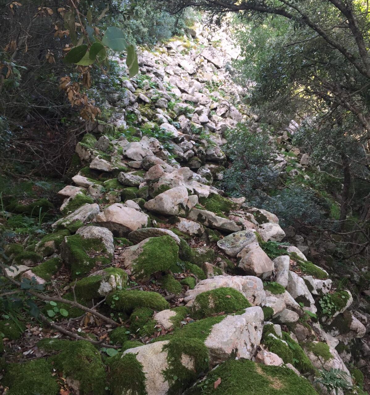 Archeologia Sant'Antonio Di Gallura